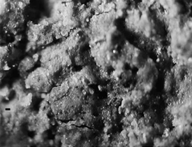 Figure 2.10. Clay films and aggregates in no-till soil. (Hopkins & Franzen, 2003)